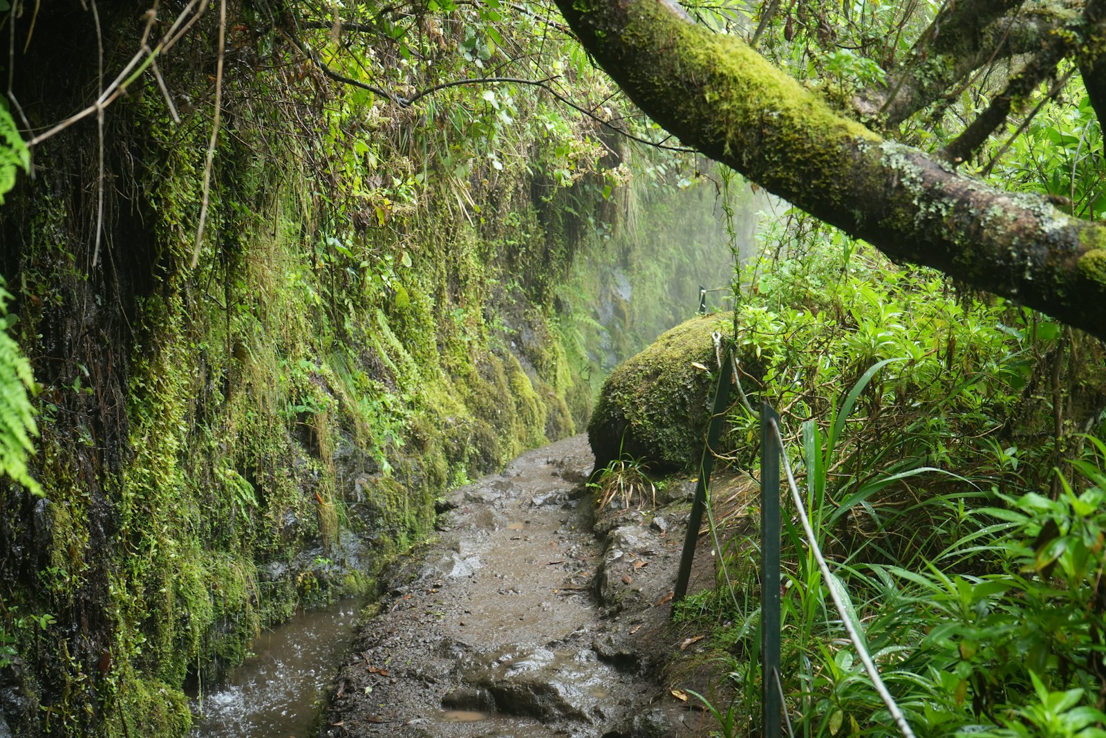25 Fontes waterfalls on the Rabaçal levada trail, Madeira