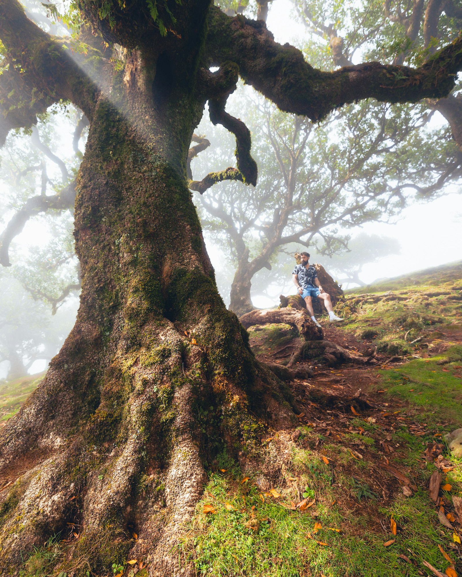 The green mountain valley of Serra de Água, Madeira